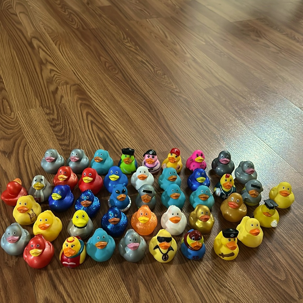 47 ducks all for people who like collecting them